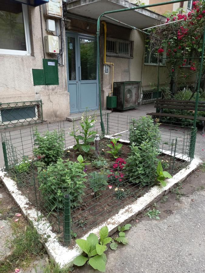Appartement Tomis 99